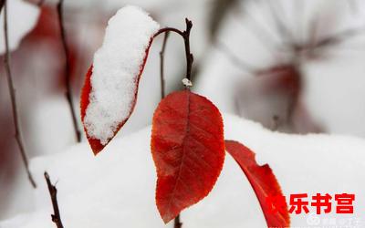 瑞雪兆丰年全文阅读-瑞雪兆丰年免费阅读-瑞雪兆丰年最新章节免费在线无弹窗阅读